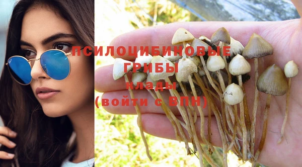 герыч Сосновый Бор