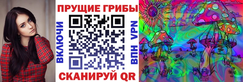 кракен как войти  Нязепетровск  Псилоцибиновые грибы Cubensis 